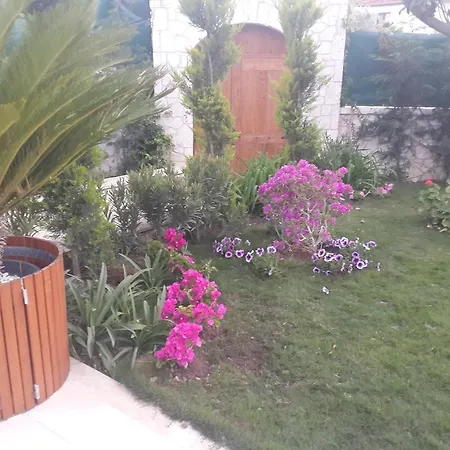 Case de vacanță Nick's House *