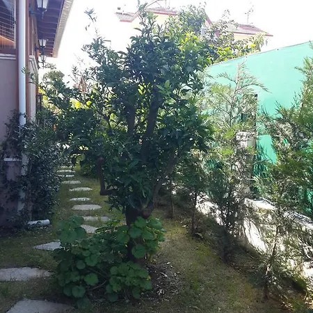 Case de vacanță Nick's House *