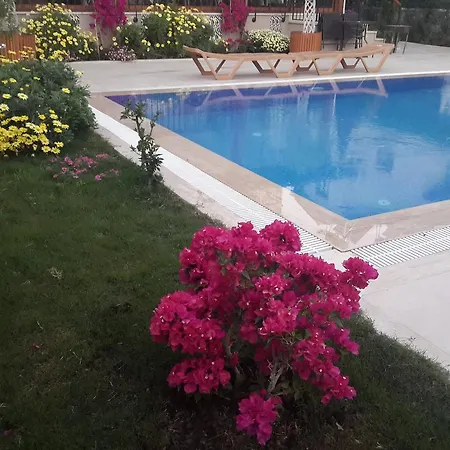 Case de vacanță Nick's House